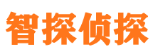 雷州市私家侦探